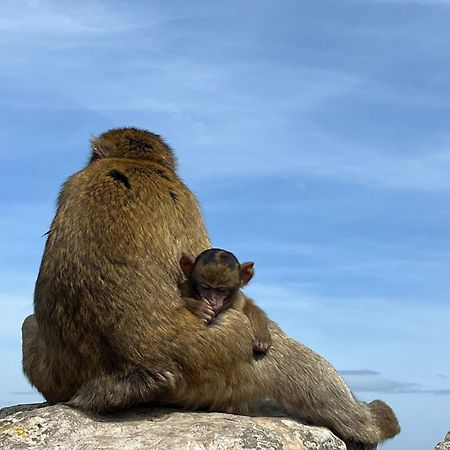 Sunny Gibraltar 아파트 외부 사진