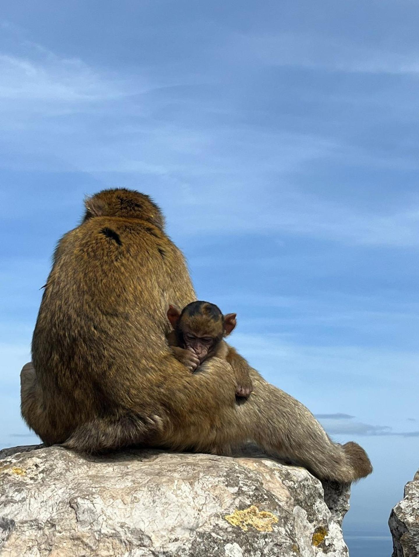 Sunny Gibraltar 아파트 외부 사진
